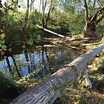 Moulin De Bapaumes
