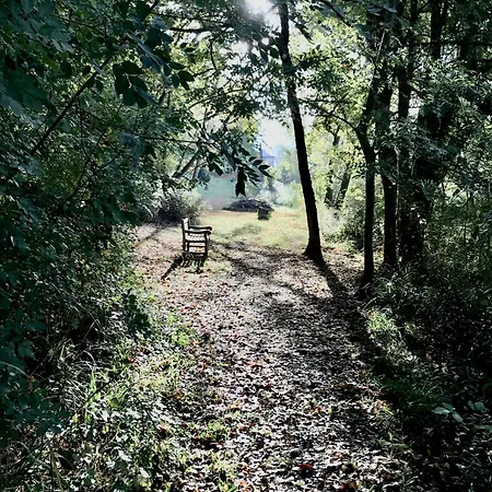Moulin De Bapaumes 3* Nérac