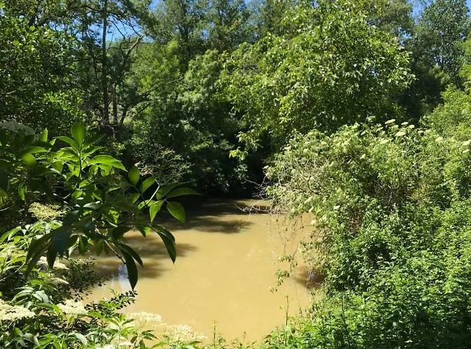 Moulin De Bapaumes Nérac