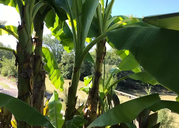 Moulin De Bapaumes Bed & Breakfast